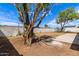 Large backyard with mature trees offering ample space for outdoor activities and future landscaping at 3826 W Davidson Ln, Phoenix, AZ 85051