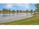 Scenic pond view with abundant wildlife, serene waters, and well-maintained green shoreline, ideal for relaxation at 4667 E County Down Dr, Chandler, AZ 85249
