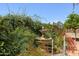 Backyard features a fountain surrounded by lush desert vegetation at 5332 S Citrus Ct, Gilbert, AZ 85298