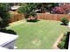 Lush backyard with a healthy lawn, offering ample outdoor space at 930 W Mackenzie Dr, Phoenix, AZ 85013