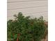 Exterior of the home featuring landscaping with white siding at 930 W Mackenzie Dr, Phoenix, AZ 85013