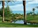 Scenic view of a tranquil pond surrounded by lush greenery and palm trees within the community at 12780 W Desert Vista Trl, Peoria, AZ 85383