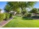 Lush green lawn with mature trees and manicured shrubs, creating a serene and inviting outdoor space at 12780 W Desert Vista Trl, Peoria, AZ 85383