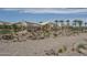 Playground with various sunshades, play structures, picnic area, and desert landscaping, creating a fun outdoor space at 15784 W Soft Wind Dr, Surprise, AZ 85387