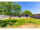 Spacious backyard with grassy lawn and shade trees, ideal for outdoor enjoyment at 1617 W Vineyard Rd, Phoenix, AZ 85041
