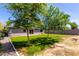 Expansive backyard featuring lush green grass, mature trees, and privacy fencing at 1617 W Vineyard Rd, Phoenix, AZ 85041
