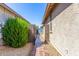 The backyard walkway features a brick walkway with stone on the sides at 18008 W Tina Ln, Surprise, AZ 85387