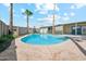 Backyard featuring a private swimming pool with palm trees, surrounded by concrete patio at 3228 W Mercer Ln, Phoenix, AZ 85029