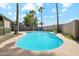 Backyard with a private swimming pool and tall palm trees, perfect for outdoor enjoyment at 3228 W Mercer Ln, Phoenix, AZ 85029