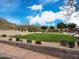 A community park featuring green grass, desert plants, playground, volleyball court and blue skies at 3330 W Gran Paradiso Dr, Phoenix, AZ 85086