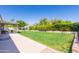 Expansive backyard with lush greenery, a covered patio, and ample space for outdoor entertaining and relaxation at 3544 E Fox St, Mesa, AZ 85213