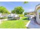 Lush backyard featuring green grass, a large shade tree, and a covered patio, ideal for outdoor entertaining at 3544 E Fox St, Mesa, AZ 85213