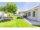 Spacious backyard with well-maintained lawn, mature tree, and covered patio, creating a serene outdoor space at 3544 E Fox St, Mesa, AZ 85213