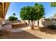 Lush backyard featuring an orange tree, outdoor cooking space, and well-maintained landscaping at 7002 E Exmoor Dr, Mesa, AZ 85208