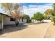 Large backyard with a detached structure, shade trees, and a spacious concrete parking area at 819 N Robson --, Mesa, AZ 85201