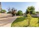 Lush backyard featuring mature trees and newly installed grass, with a charming walkway leading to the house at 819 N Robson --, Mesa, AZ 85201
