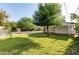 This backyard features a lush lawn, mature trees, and a covered parking area at 819 N Robson --, Mesa, AZ 85201