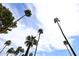 Beautiful view looking up at tall palm trees set against a bright blue sky with scattered clouds, highlighting tropical charm at 8306 E Via De Dorado --, Scottsdale, AZ 85258