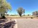 Backyard area with desert landscaping and views of the community lawn and neighboring properties at 814 S 80Th St, Mesa, AZ 85208