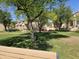 Lush community park featuring mature shade trees and a large grassy area for activities at 9137 W Coolbrook Ave, Peoria, AZ 85382