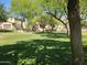 Mature shade trees in a manicured community park featuring large grassy area and landscaping at 9137 W Coolbrook Ave, Peoria, AZ 85382