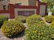 The Travata community signage is enhanced by the surrounding brickwork and lush landscaping at 9137 W Coolbrook Ave, Peoria, AZ 85382