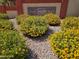 Welcoming community entrance with Travata signage, manicured flowering bushes, and decorative rocks at 9137 W Coolbrook Ave, Peoria, AZ 85382