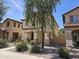 Attractive two-story home featuring desert landscaping with a mature tree enhancing its curb appeal and inviting design at 9137 W Coolbrook Ave, Peoria, AZ 85382