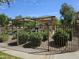 Community pool with covered seating area and beautiful landscaping surrounded by a decorative metal fence at 9137 W Coolbrook Ave, Peoria, AZ 85382