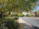 Inviting street view of the community lined with lush trees, sidewalks, and well-maintained townhomes at 9137 W Coolbrook Ave, Peoria, AZ 85382