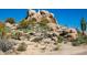 Unique desert landscape featuring native plants and interesting rock formations at 9154 E Sunflower Ct, Scottsdale, AZ 85266
