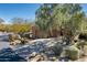 Landscaped desert home with mature trees, native plants, and a circular drive at 9154 E Sunflower Ct, Scottsdale, AZ 85266