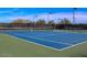 Community tennis courts with mature trees and lighting for evening play, offering an active lifestyle at 2425 W Bronco Butte Trl # 2028, Phoenix, AZ 85085