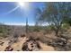 Desert landscape with native trees and cacti, showcasing the natural beauty at 2610 W Sat Nam Way, Phoenix, AZ 85086