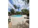 Community pool surrounded by lush landscaping and towering palm trees on a sunny day with fluffy clouds at 3131 E Legacy Dr # 2055, Phoenix, AZ 85042