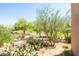 Desert landscaped backyard showcasing native plants, gravel, and distant views at 34457 N Legend Trail Pkwy # 1013, Scottsdale, AZ 85262
