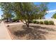 View of the low maintenance front yard filled with desert landscaping at 3730 W Michigan Ave, Glendale, AZ 85308