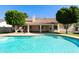 Beautiful backyard featuring a sparkling pool, lush greenery, and a well-maintained lawn at 541 E Spur Ave, Gilbert, AZ 85296