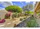 Beautiful backyard with mature landscaping, vibrant flowers, and stone accents at 9780 E Gamble Ln, Scottsdale, AZ 85262