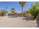 Backyard with light gravel, a block wall, and tall palm trees over some homes at 1079 E Jasper Dr, Gilbert, AZ 85296