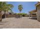 Large, private backyard with mature palm trees and a covered patio area at 1079 E Jasper Dr, Gilbert, AZ 85296