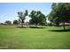Expansive community green space with lush grass and mature trees, providing a serene environment for residents at 1905 E Inverness Ave, Mesa, AZ 85204