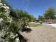 Beautiful backyard features a custom pool with rock waterfall feature, seating area, and lush landscaping at 20426 N Alma Dr, Maricopa, AZ 85138