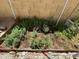 A garden plot surrounded by rocks and a brick wall is ready for spring planting at 20426 N Alma Dr, Maricopa, AZ 85138