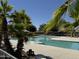 Community pool and sundeck surrounded by palm trees offering a refreshing and relaxing amenity at 20426 N Alma Dr, Maricopa, AZ 85138