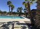 Resort-style pool surrounded by lush palm trees and comfortable lounge chairs at 20426 N Alma Dr, Maricopa, AZ 85138