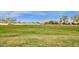 Expansive community green space showcasing lush lawns and mature trees under a bright blue sky at 21616 E Calle De Flores --, Queen Creek, AZ 85142