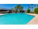 Sparkling community pool surrounded by lush greenery and palm trees, perfect for relaxation at 3020 E Mission Ln, Phoenix, AZ 85028
