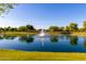 Scenic community pond with a fountain surrounded by lush green grass and mature trees at 3231 S Mingus Dr, Chandler, AZ 85286