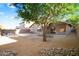 Large backyard featuring desert landscaping, mature trees, and a brick patio at 418 E Clairidge Dr, San Tan Valley, AZ 85143
